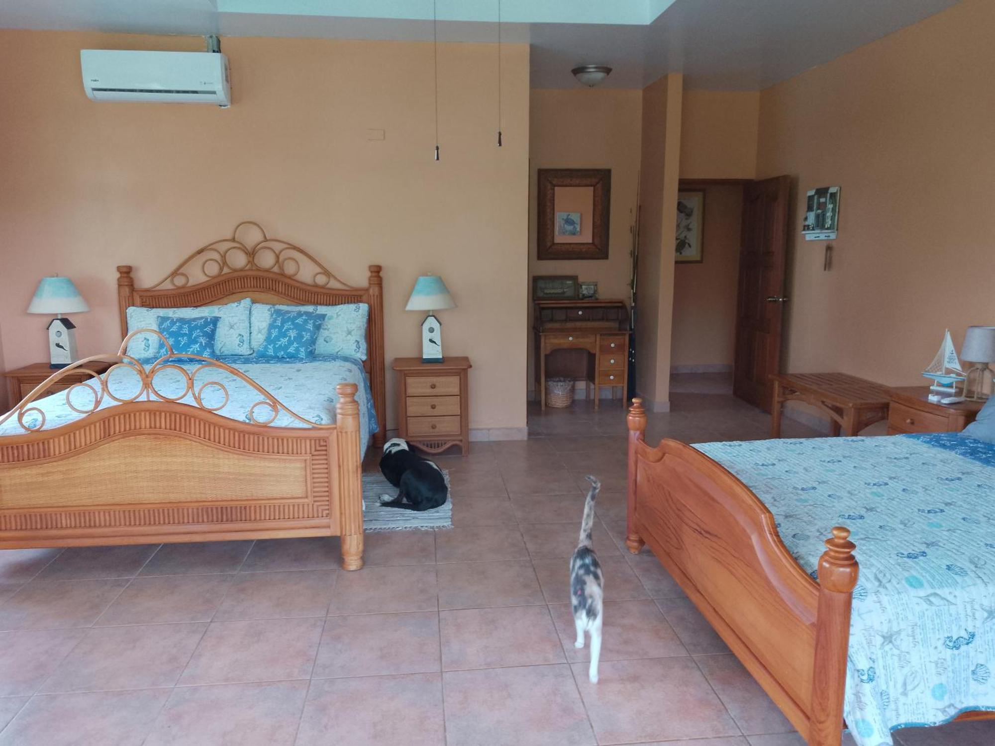 Gone Fishing Panama Resort โบกา ชิกา ภายนอก รูปภาพ